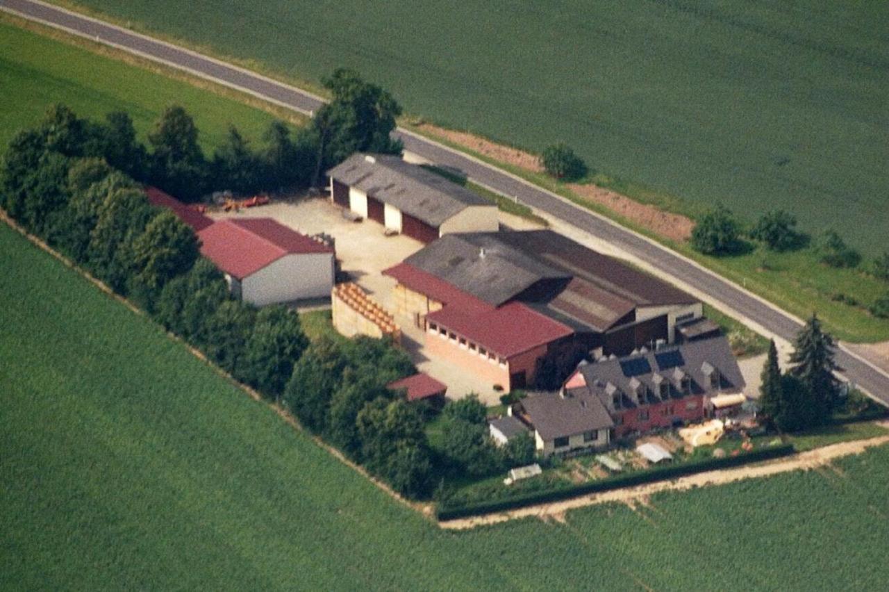 Ferienwohnungen Maintal Karlstadt Extérieur photo